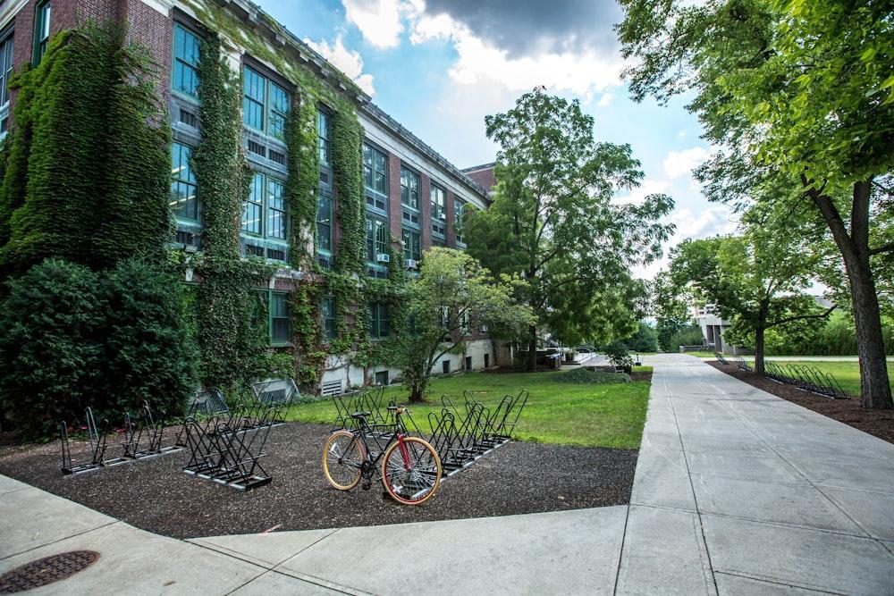 University campus